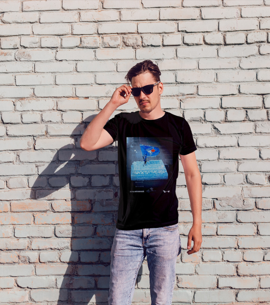 Toronto Blue Jays Back In The 6ix Ice Flag And Blocks T-Shirt