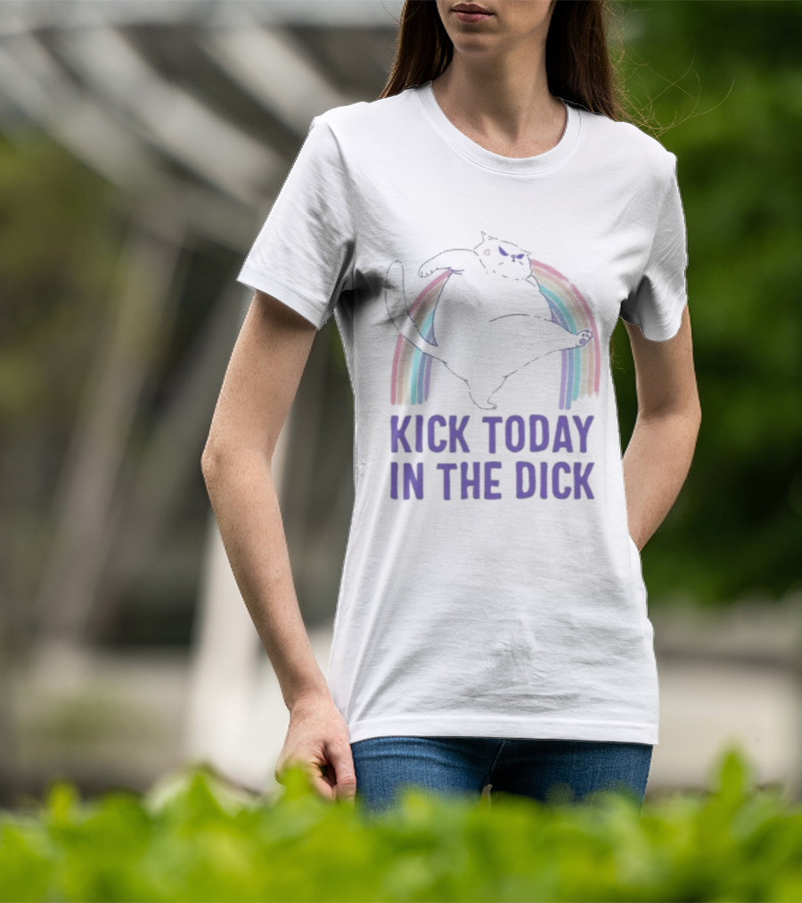 Kick Today In The Dick Rainbow Cat T-Shirt