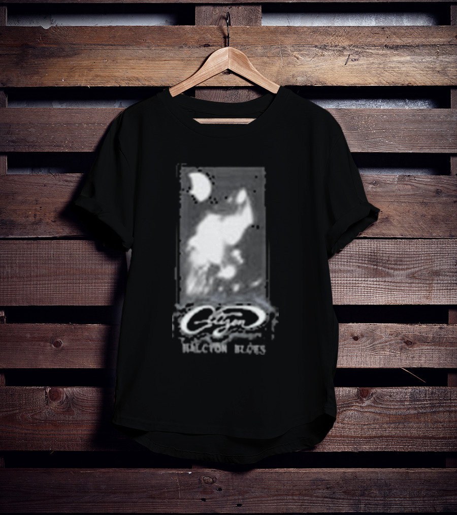 Run For Cover Records Citizen Halcyon Blues Album Merch T-Shirt