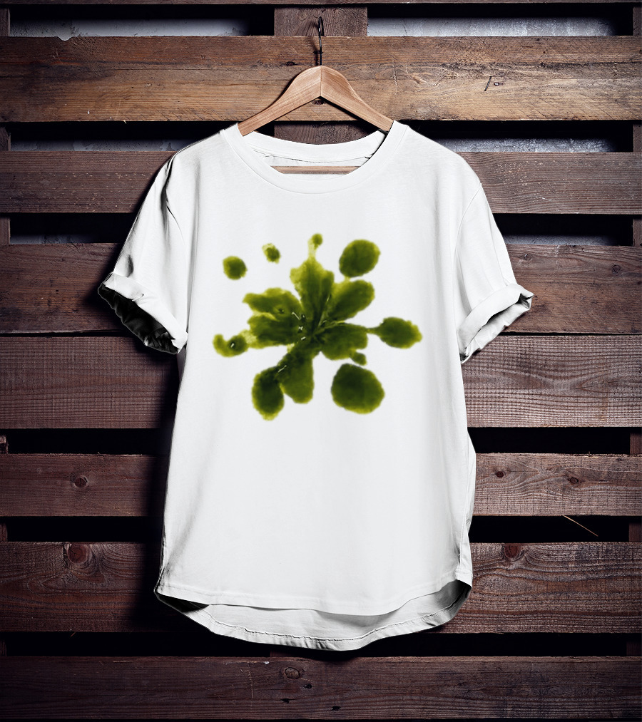 Weather Tomorrow May 4 2026 T-Shirt