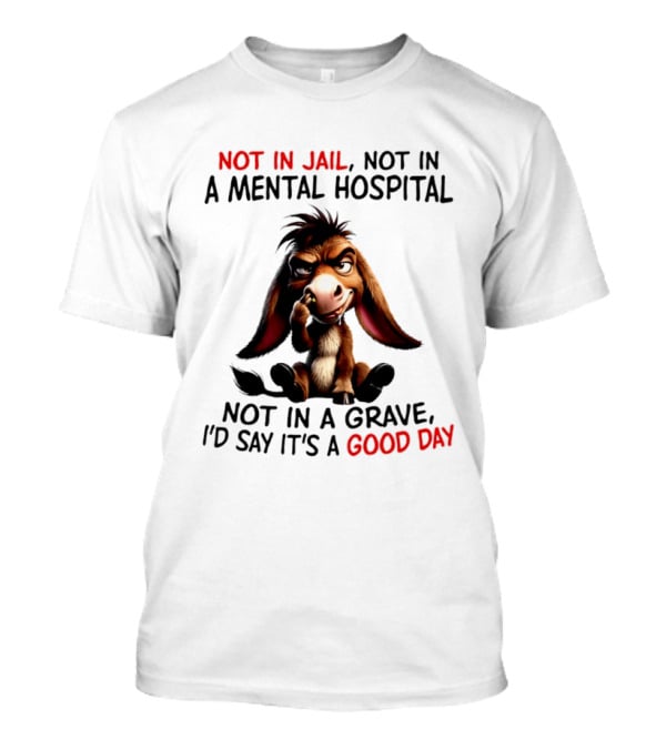 Donkey Not In Jail Not In A Mental Hospital Not In A Grave I'd Say It's A Good Day T-Shirt