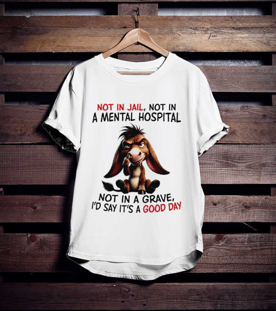 Donkey Not In Jail Not In A Mental Hospital Not In A Grave I'd Say It's A Good Day T-Shirt