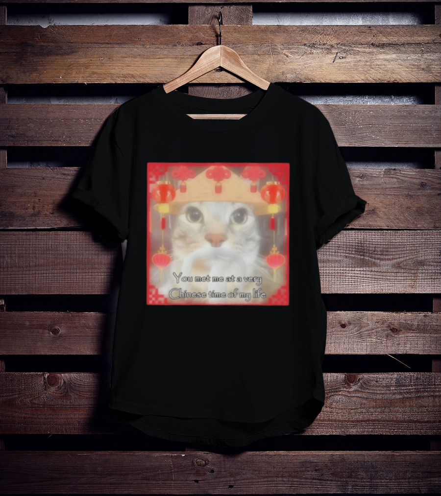 You Met Me At A Very Chinese Time Of My Life Cat Lanterns Hat T-Shirt