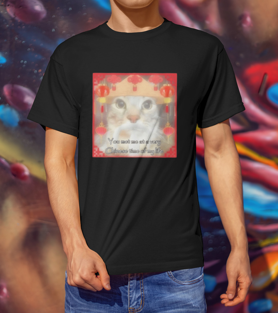 You Met Me At A Very Chinese Time Of My Life Cat Lanterns Hat T-Shirt