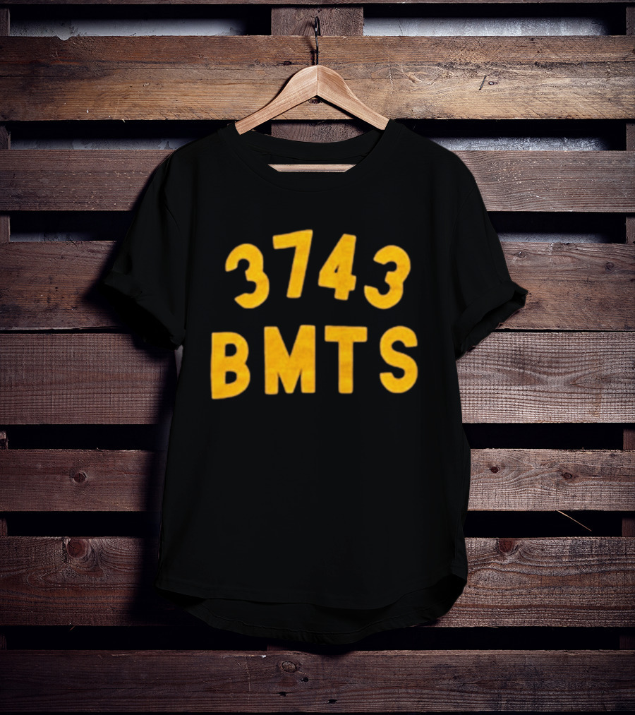Barn Owl Seattle 3743 BMTS T-Shirt