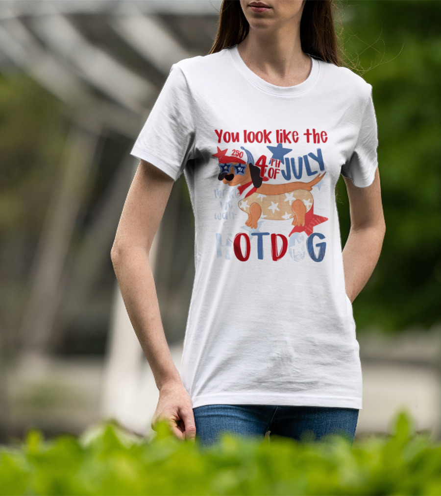 You Look Like The 4th Of July Make Me Want A Hotdog 2020 Dog Star Hat T-Shirt