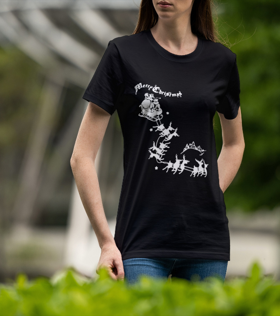 Merry Christmas Santa Sleigh Reindeer In Night Sky With Mountains Isla Gordon T-Shirt