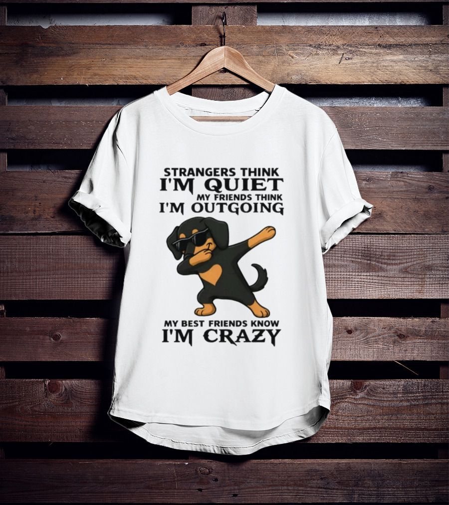 Strangers Think I'm Quiet Friends Think I'm Outgoing Best Friends Know I'm Crazy Dabbing Dachshund T-Shirt