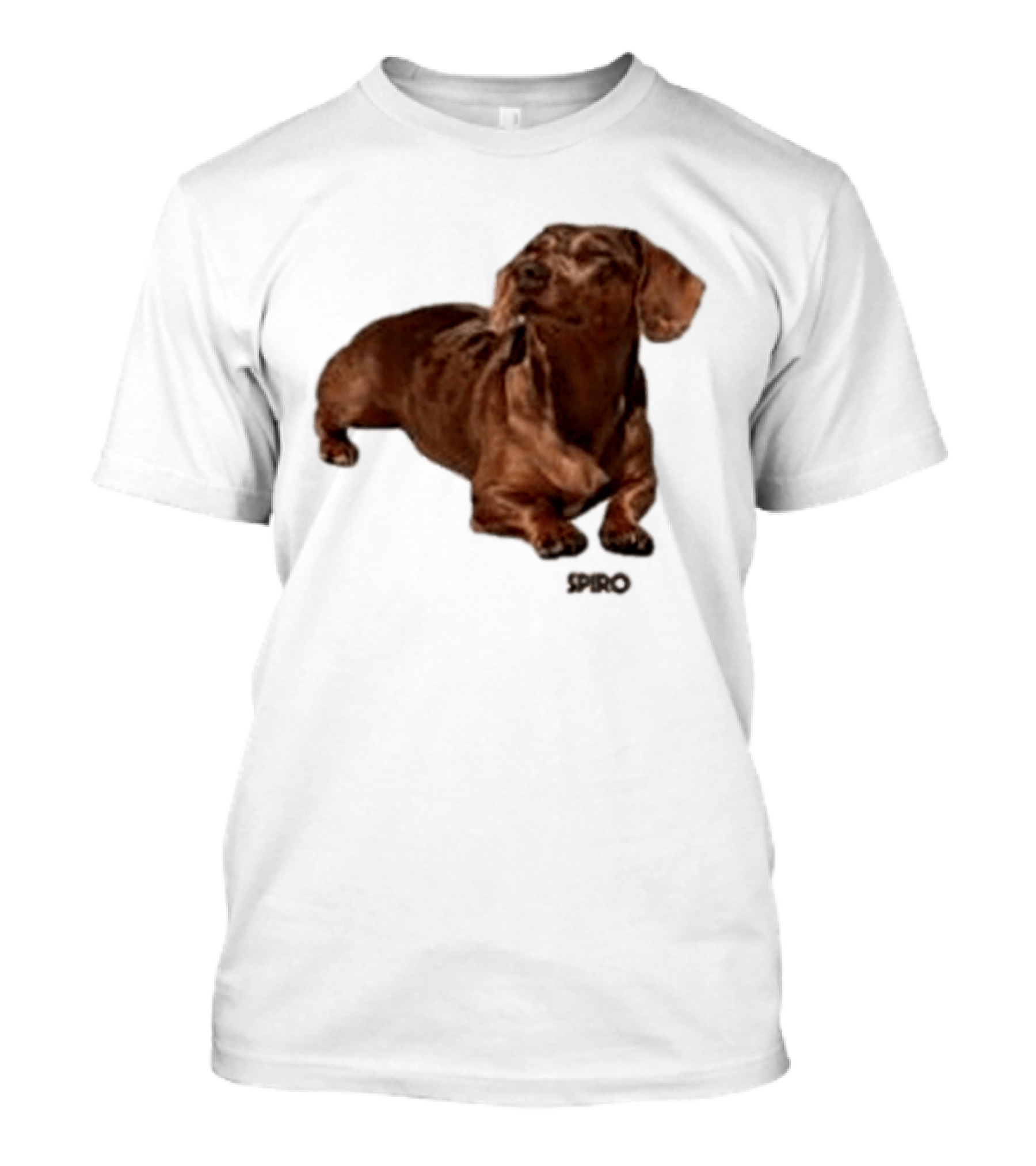 Sienna Spiro Dachshund Visitor T-Shirt