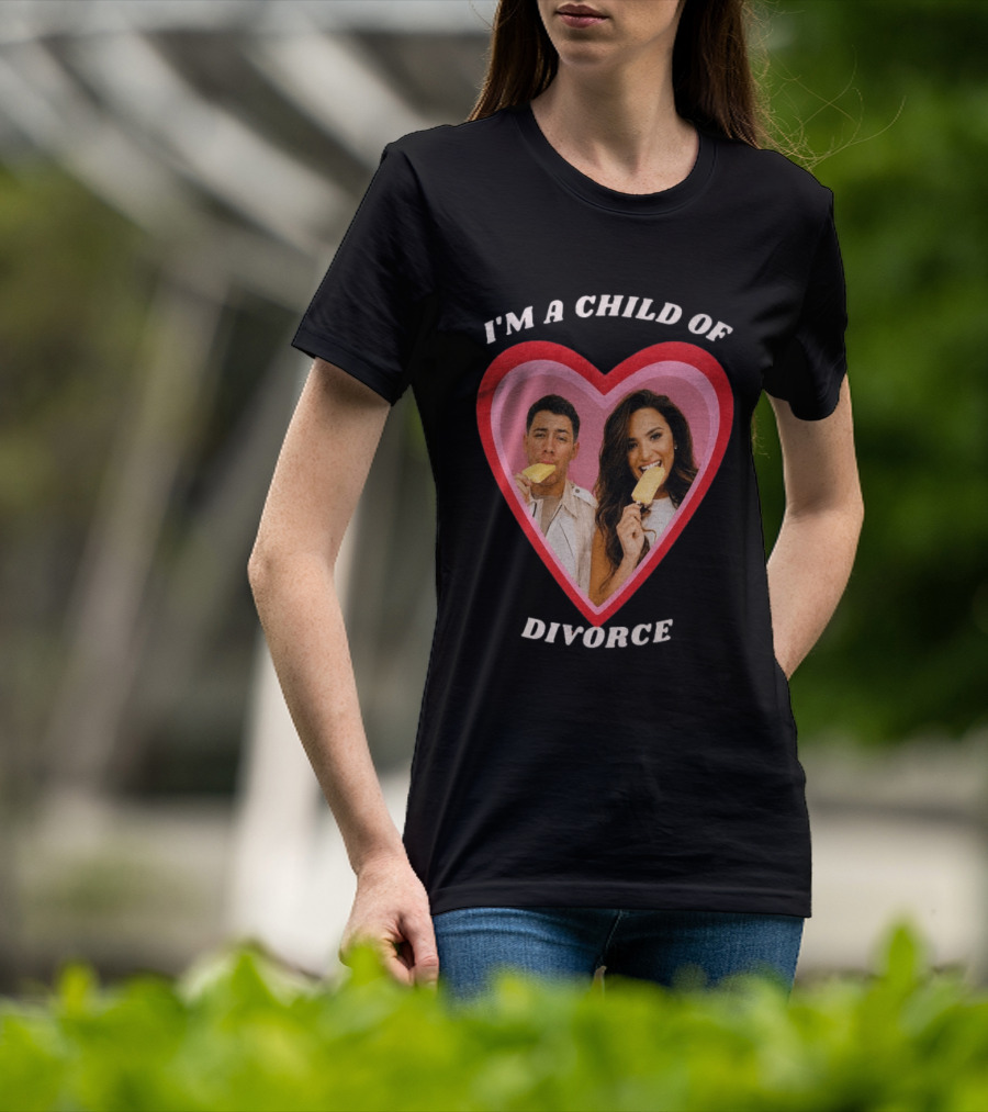 I'm A Child Of Divorce Nick Jonas Demi Lovato Heart Popsicle Image T-Shirt