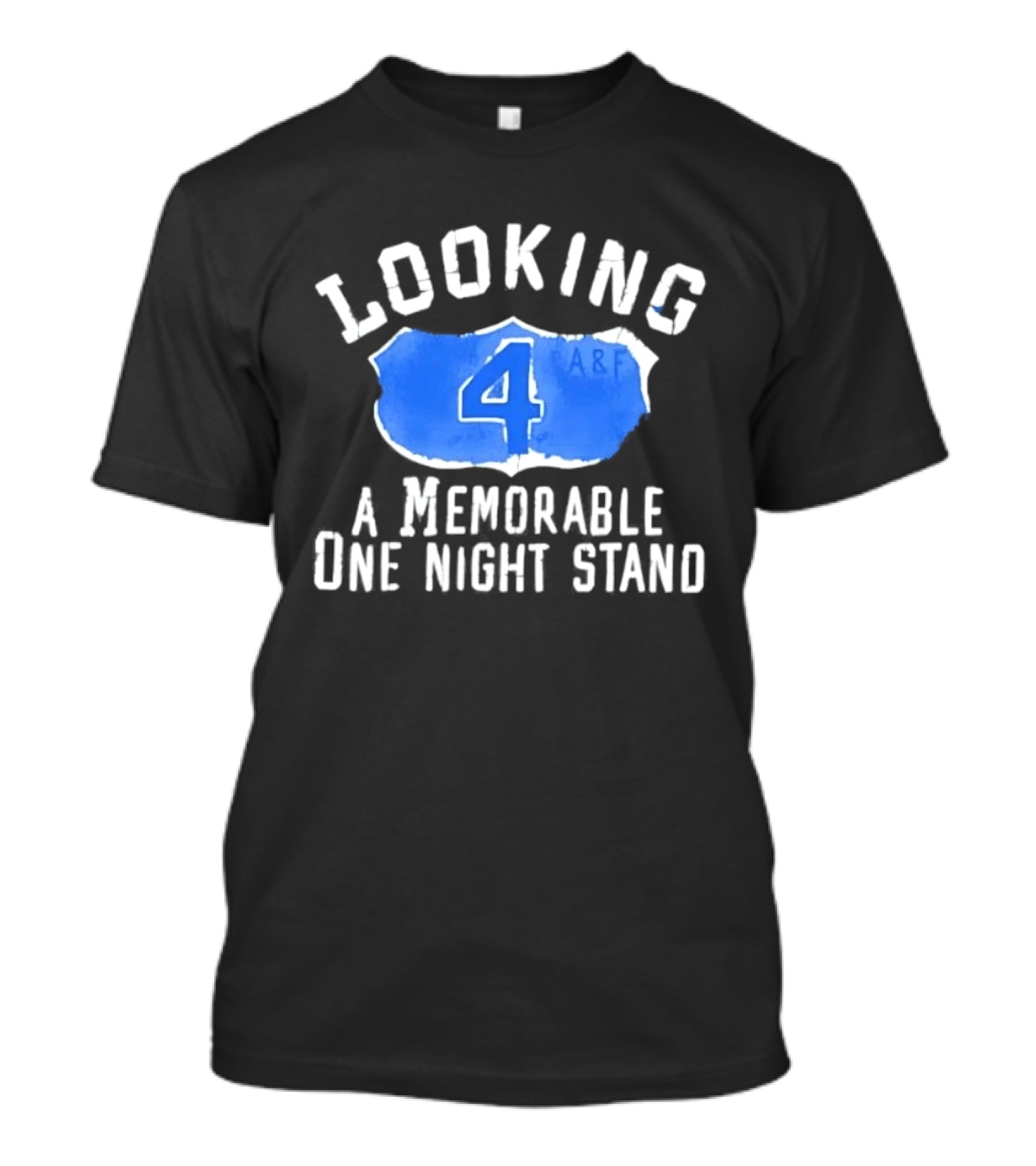 Looking 4 A Memorable One Night Stand A&F T-Shirt