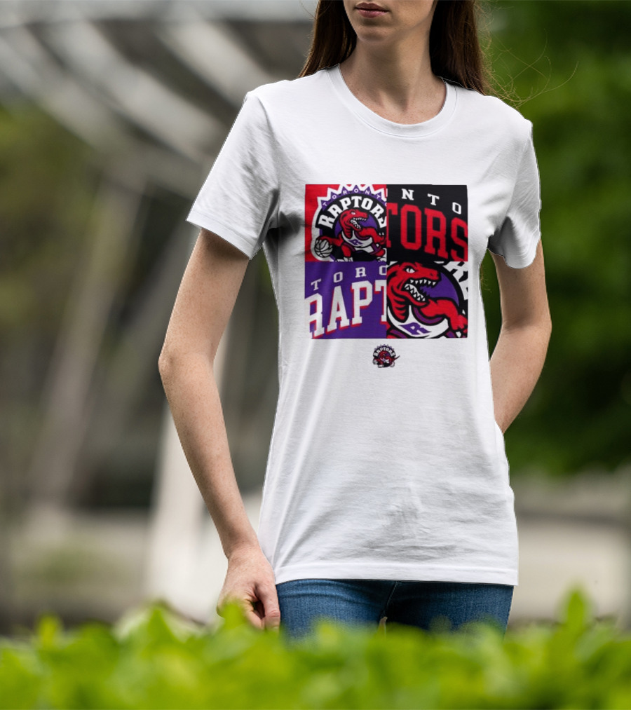 Toronto Raptors NBA Block Team Logo Graphic Raptors Basketball T-Shirt