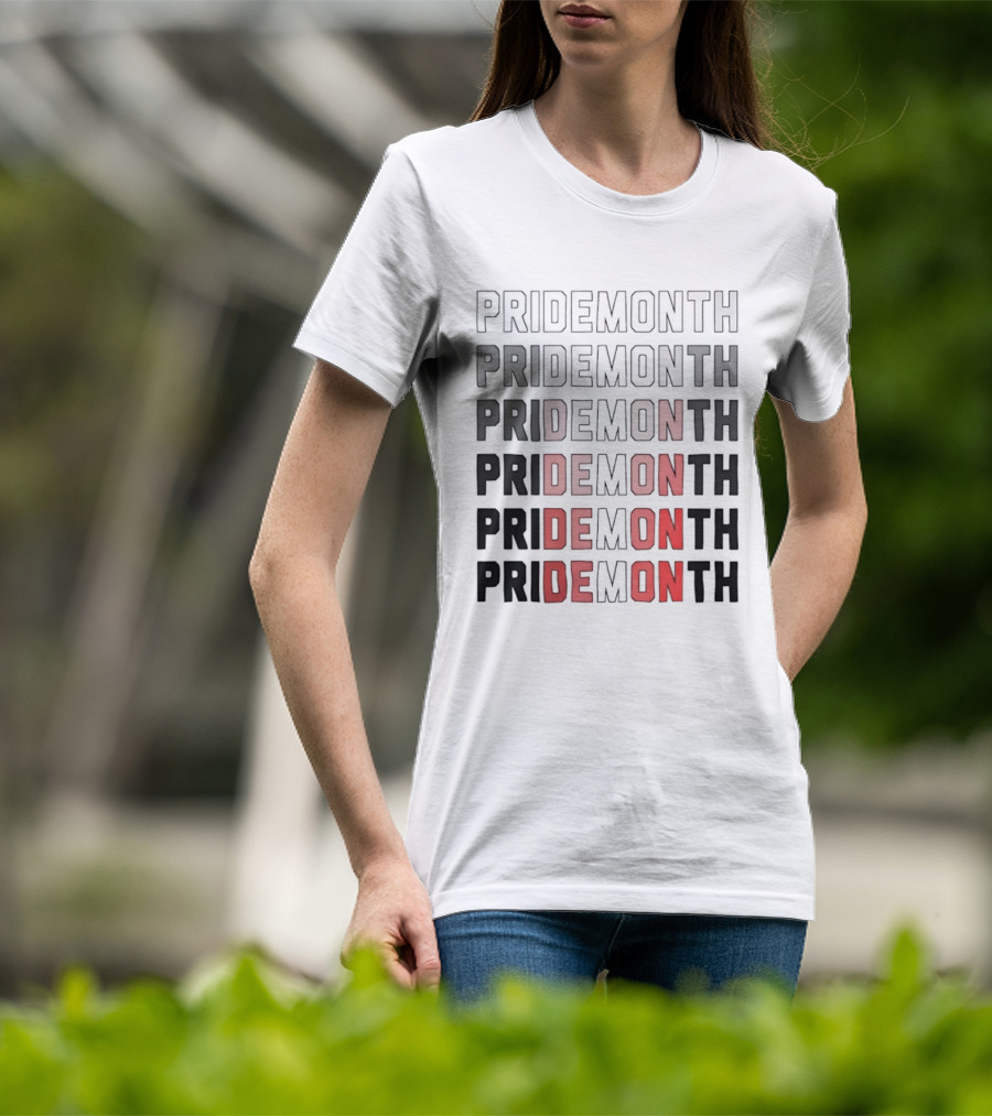 Pride Month Lesbian Flag Gradient Minimalist Rainbow DE Month T-Shirt