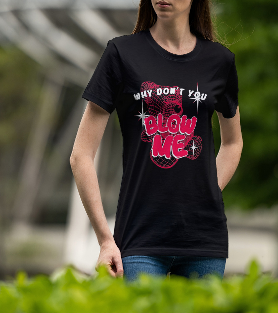 Why Don't You Blow Me Pink Wireframe Teddy Bear Bold Red Text Sparkling Star Accents T-Shirt