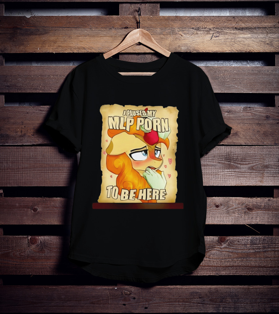 I Paused My MLP Porn To Be Here My Little Pony T-Shirt