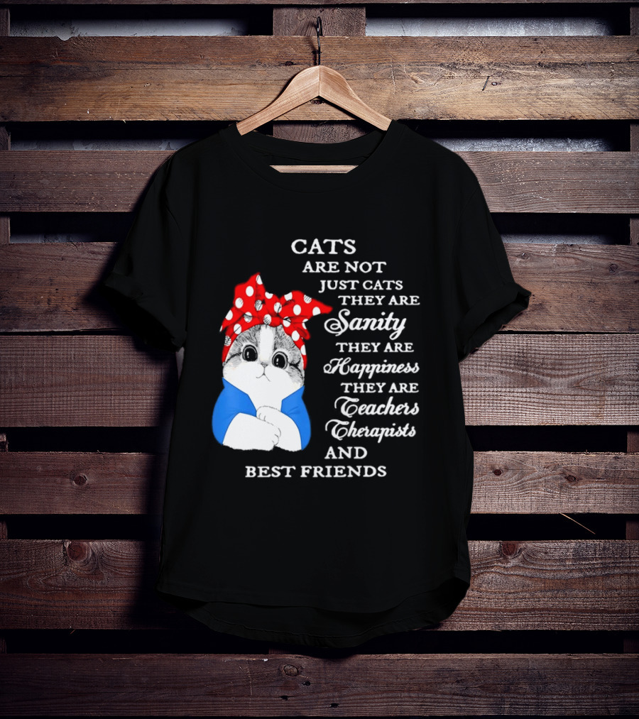 Cats Are Not Just Cats They Are Sanity Happiness Teachers Therapists Best Friends T-Shirt