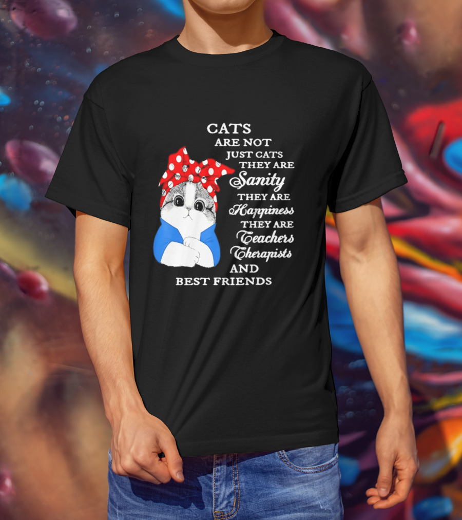 Cats Are Not Just Cats They Are Sanity Happiness Teachers Therapists Best Friends T-Shirt