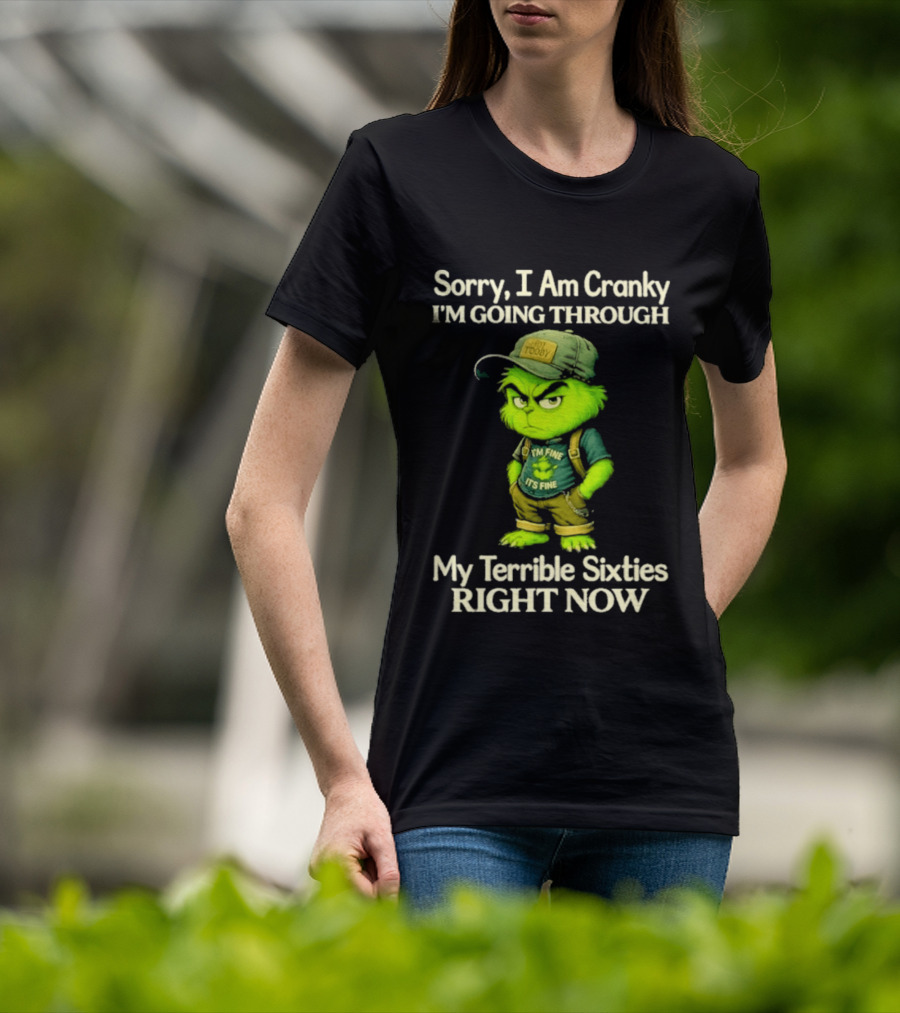Sorry I Am Cranky I'm Going Through My Terrible Sixties Right Now T-Shirt