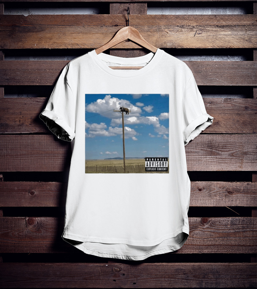 Bear On Top Of The Light Pole Parental Advisory Explicit Content Clouds Sky T-Shirt