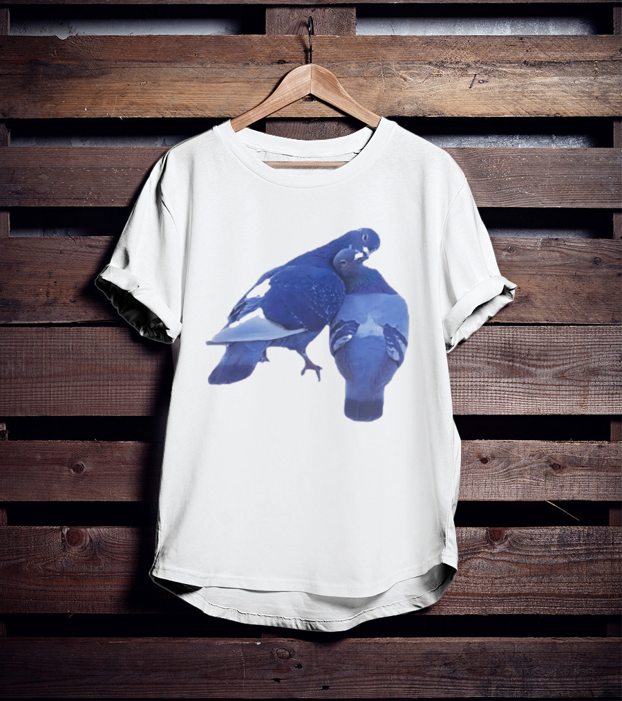 Love Doves Sports Banger Blue Pigeons Embrace T-Shirt