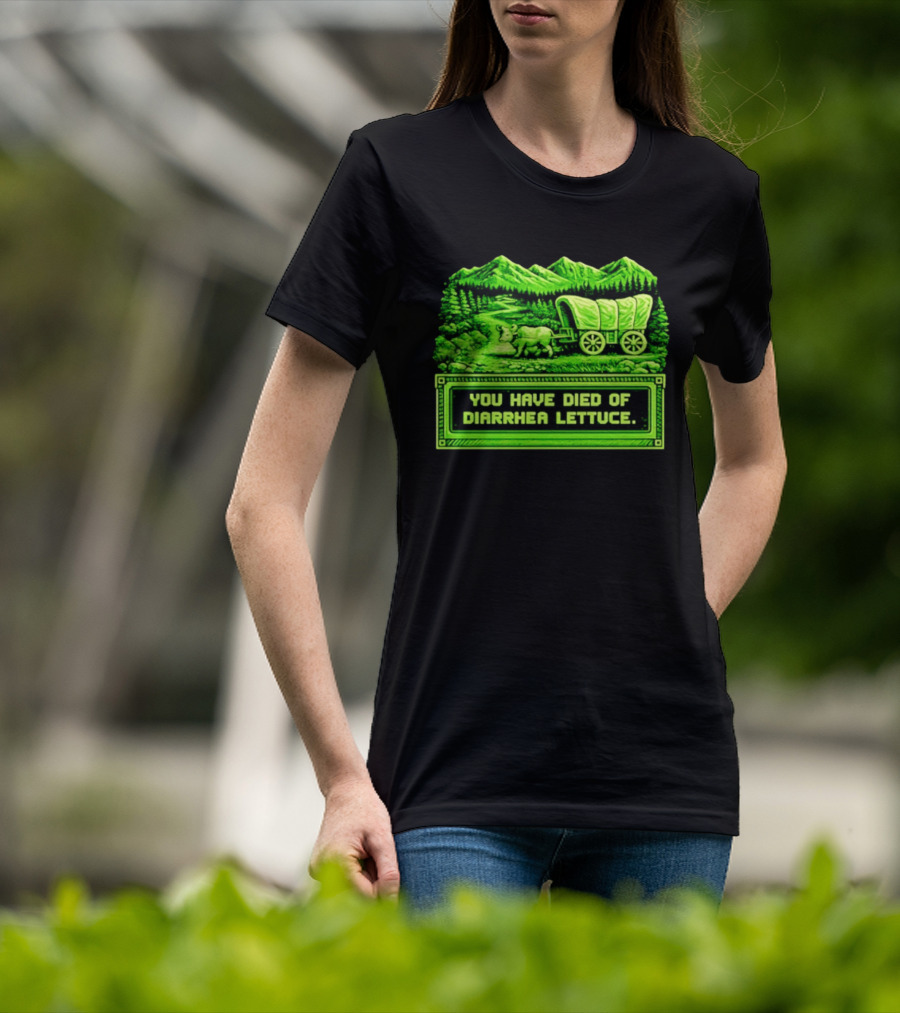 You Have Died Of Diarrhea Lettuce Wagon Trail Retro Gaming T-Shirt