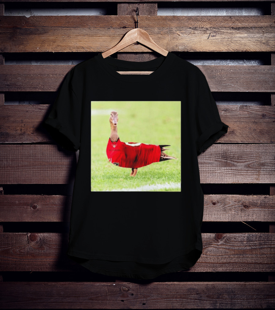 Tampa Bay Buccaneers Duck 2026 Football Fan T-Shirt