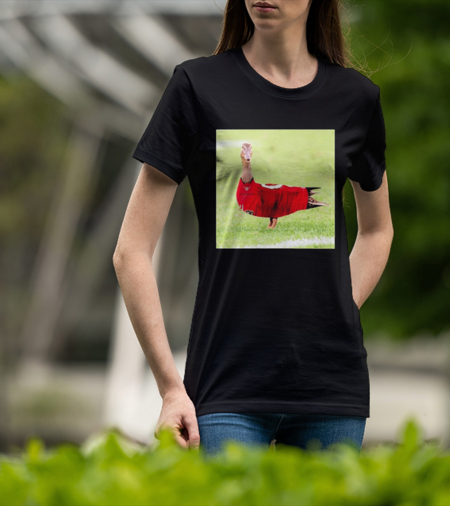 Tampa Bay Buccaneers Duck 2026 Football Fan T-Shirt