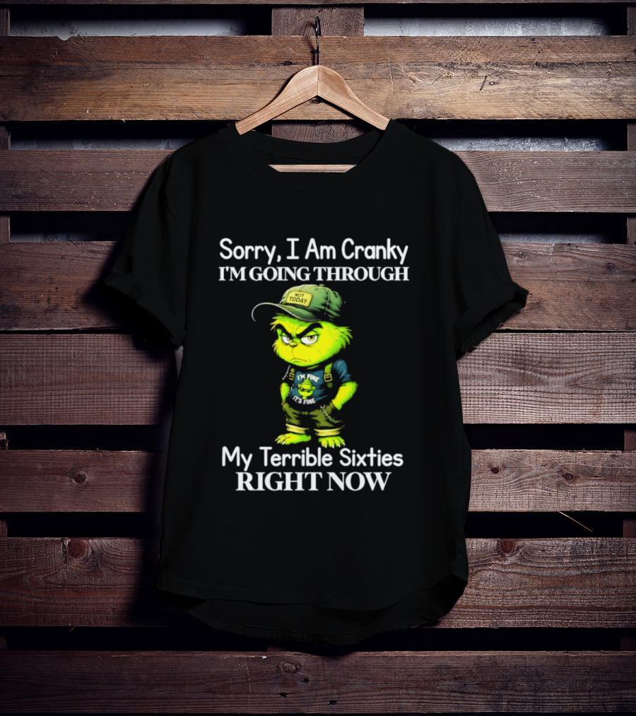 Sorry I Am Cranky I'm Going Through My Terrible Sixties Right Now T-Shirt