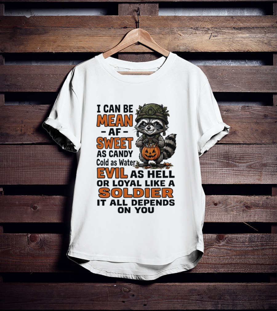 Raccoon I Can Be Mean AF Sweet As Candy Cold As Water Evil As Hell Or Loyal Like A Soldier It All Depends On You T-Shirt