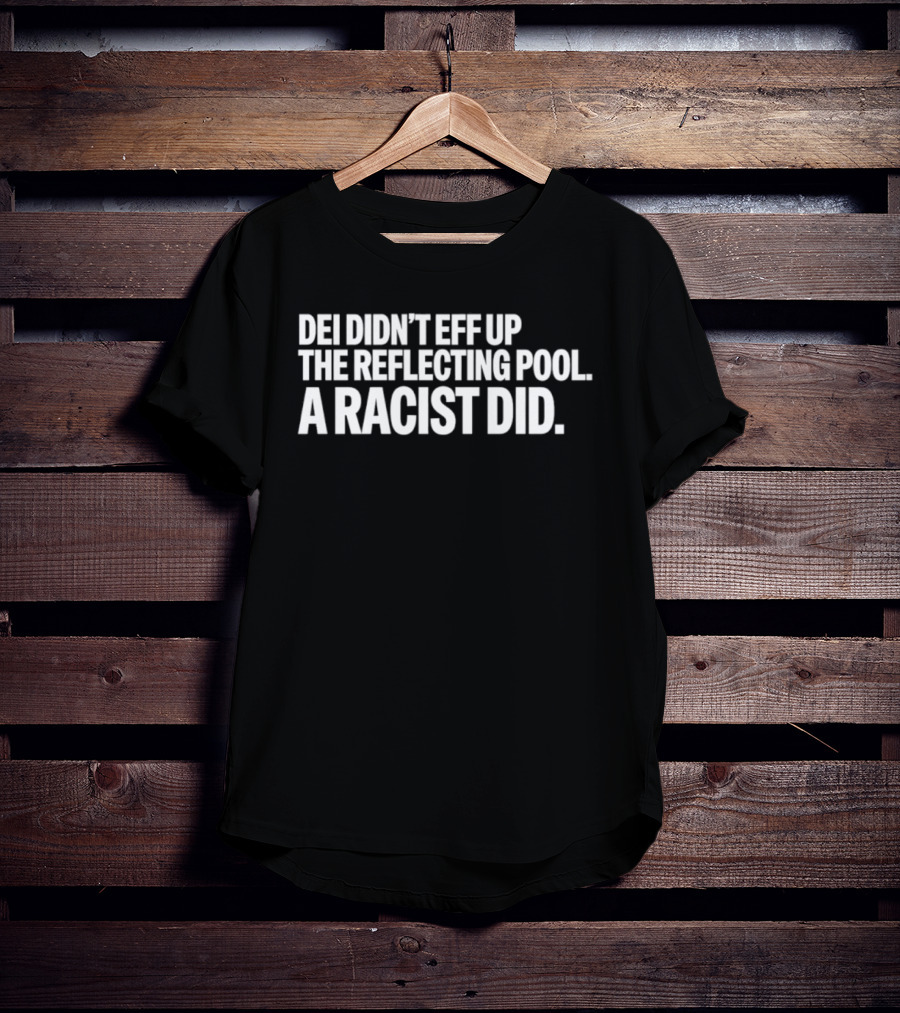 DEI Didn't Eff Up The Reflecting Pool A Racist Did T-Shirt