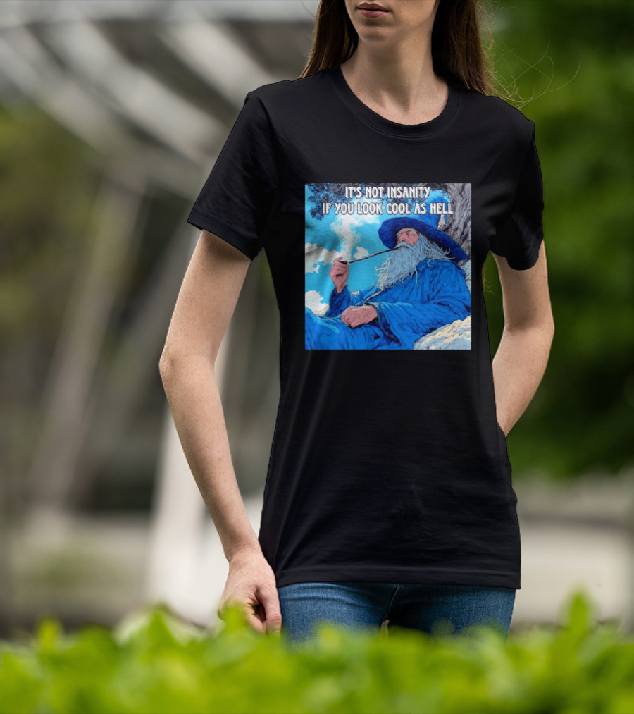 It's Not Insanity If You Look Cool As Hell Wizard Smoking Pipe T-Shirt