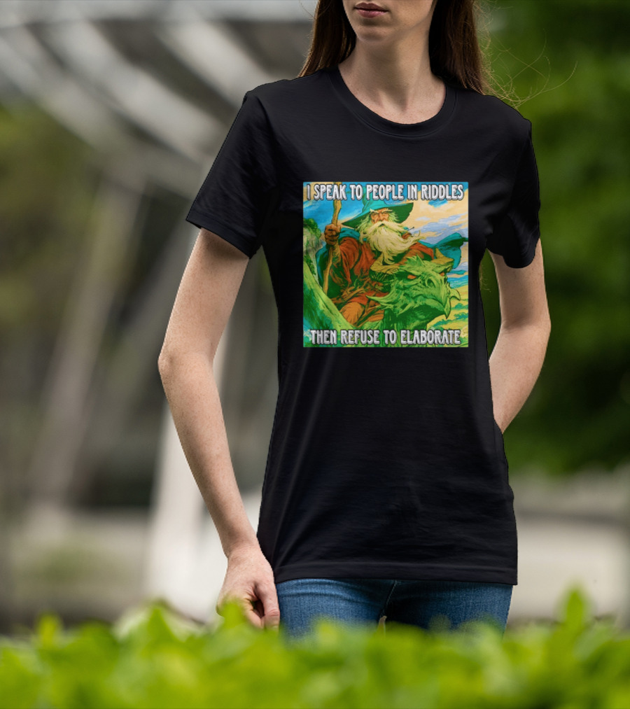 Nice Wizard I Speak To People In Riddles Then Refuse To Elaborate Fantasy T-Shirt