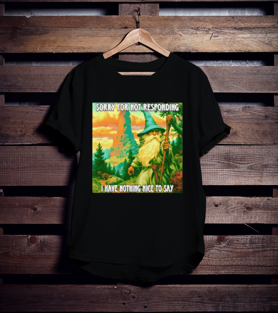 Sorry For Not Responding I Have Nothing Nice To Say Wizard Scene T-Shirt