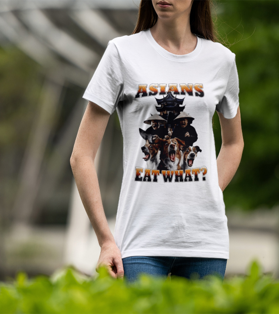 Asians Eat What Pagoda And Dogs Offensive Meme T-Shirt