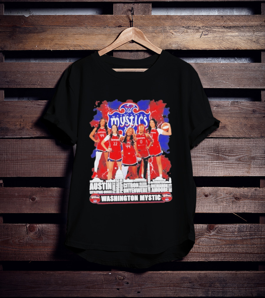 Washington Mystics Roster WNBA Basketball Skyline Austin Littlepage Buggs Poole Citron Onyenwere Amihere Olsen McMahon Amooore T-Shirt