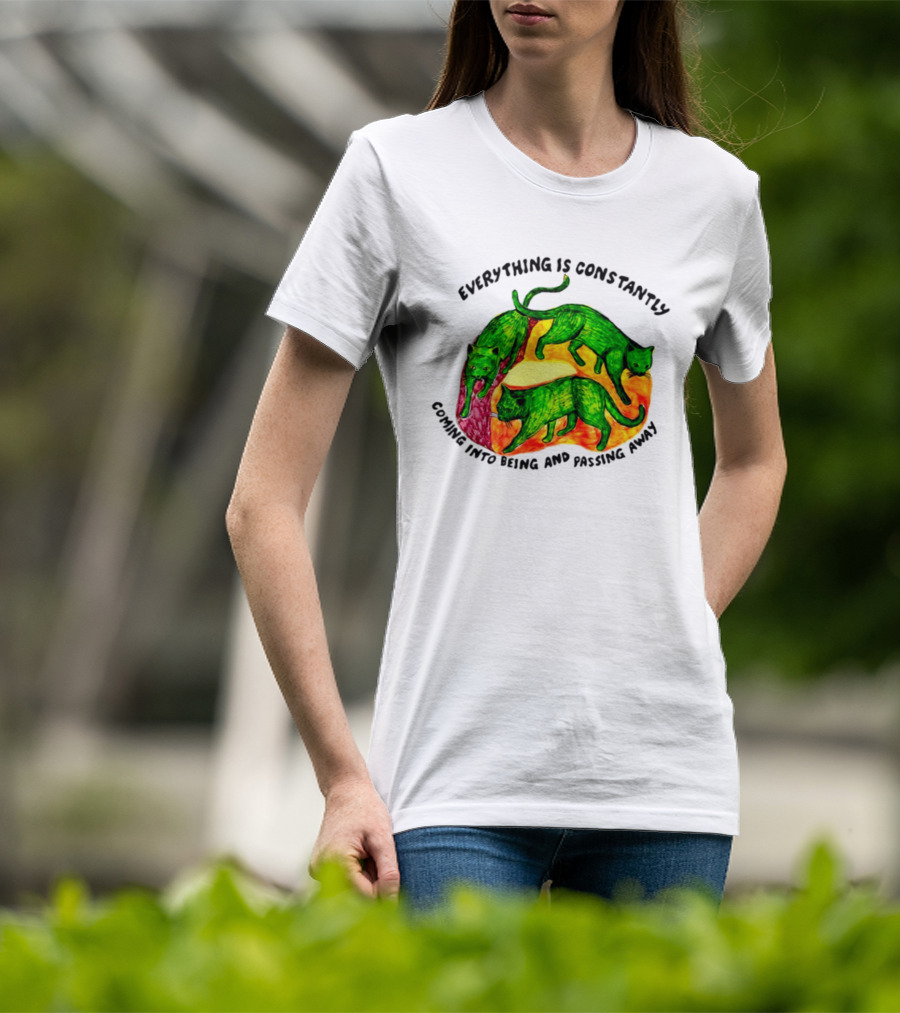 Everything Is Constantly Coming Into Being And Passing Away Cats Trio T-Shirt