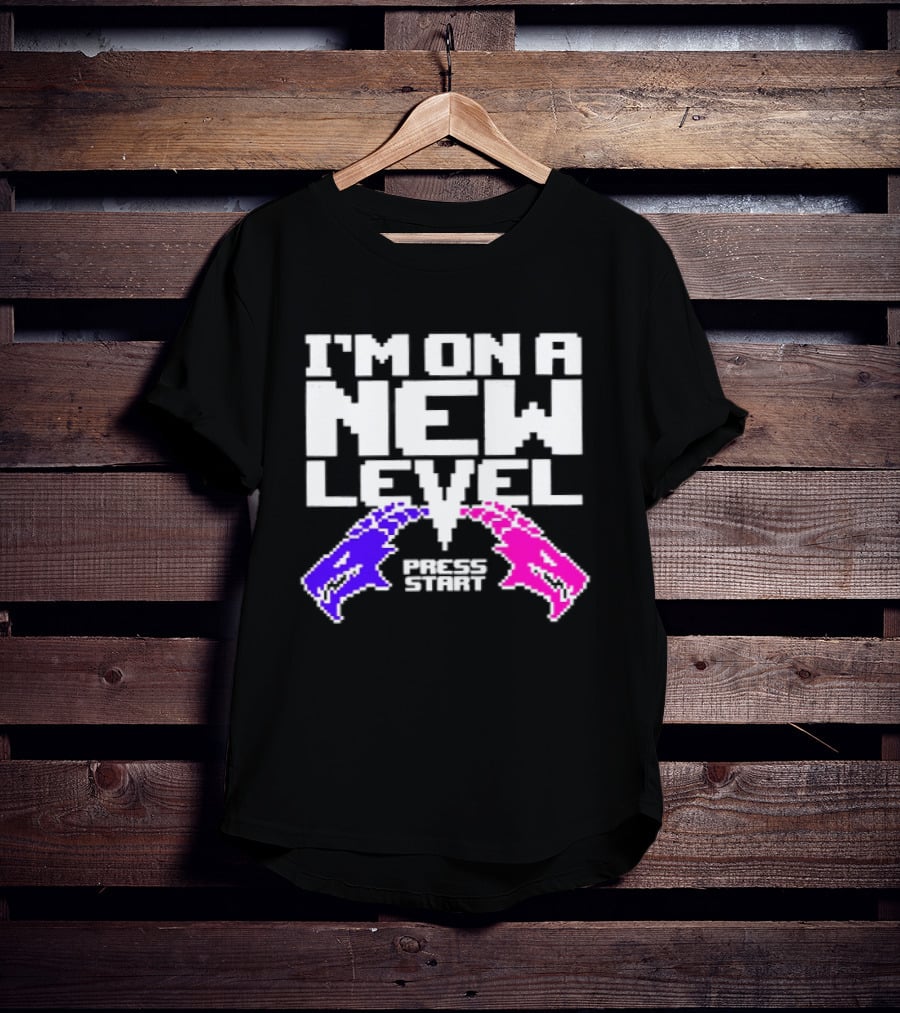 I'm On A New Level Dragons Fight Stuff T-Shirt