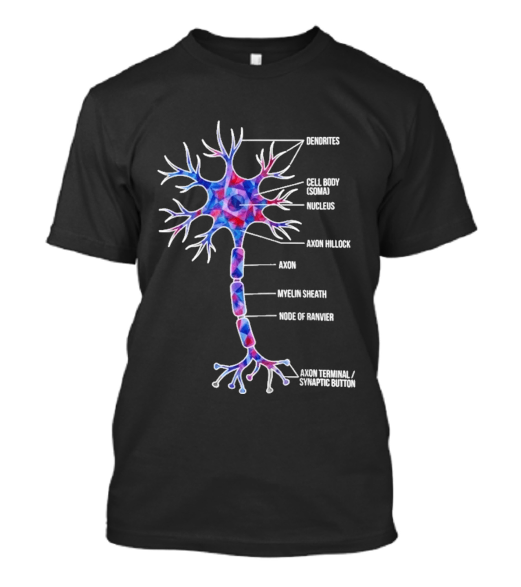 Dendrites Cell Body Soma Nucleus Axon Hillock Axon Myelin Sheath Node Of Ranvier Axon Terminal Synaptic Bouton T-Shirt