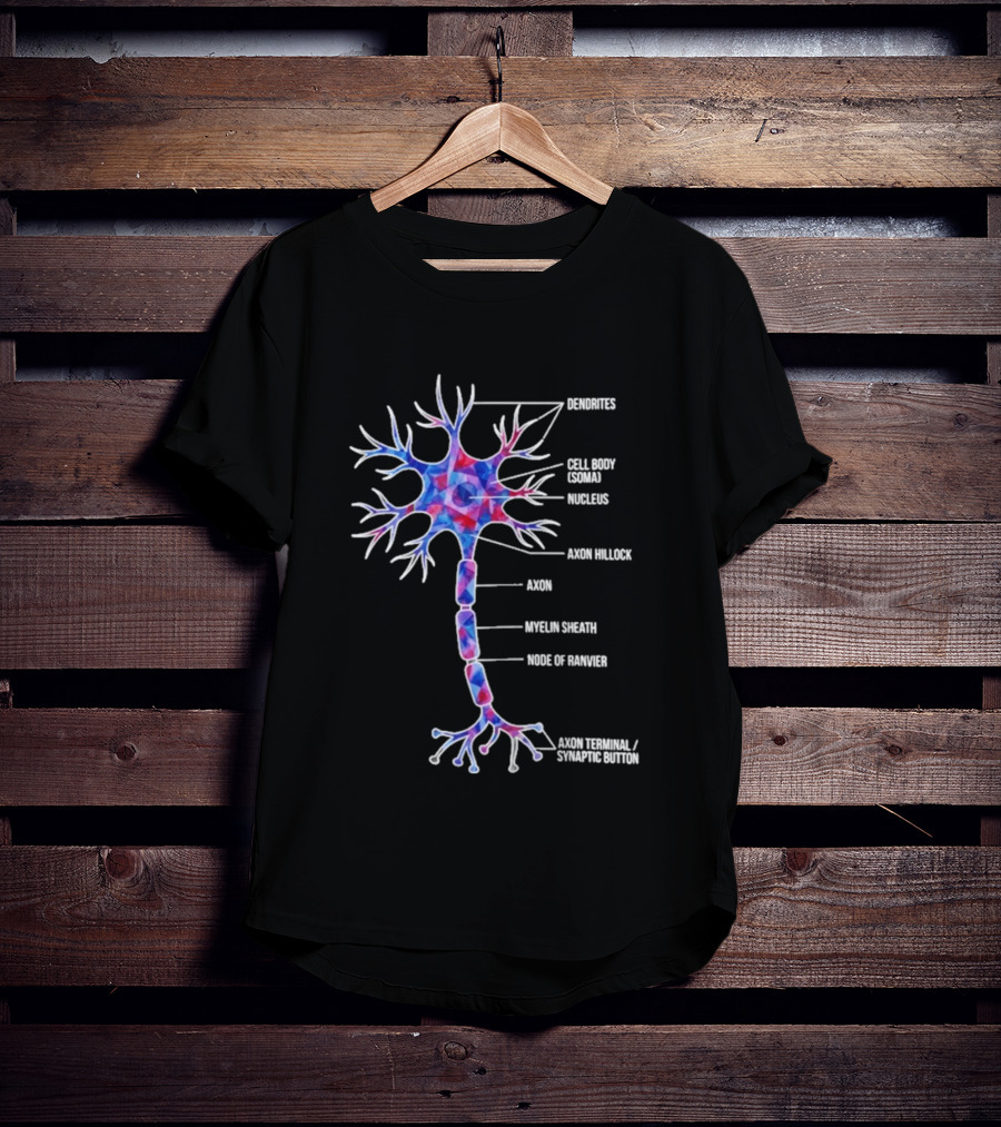 Dendrites Cell Body Soma Nucleus Axon Hillock Axon Myelin Sheath Node Of Ranvier Axon Terminal Synaptic Bouton T-Shirt