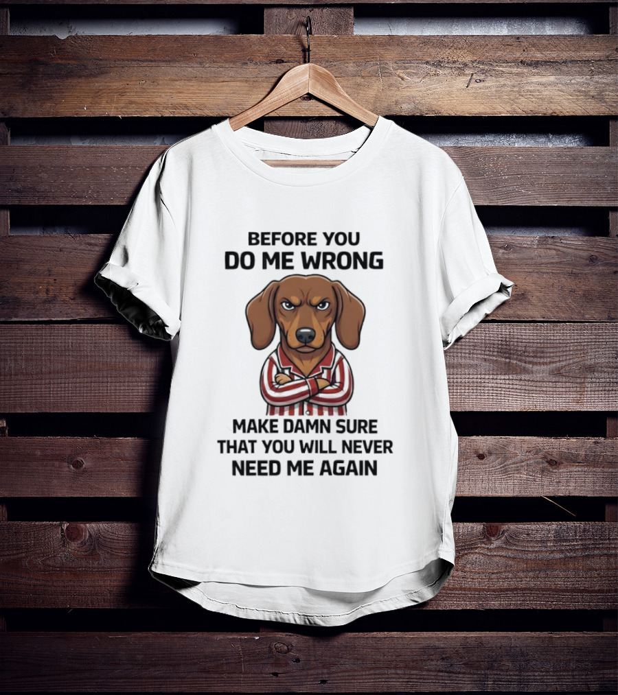 Grumpy Dog Before You Do Me Wrong Make Damn Sure You Will Never Need Me Again T-Shirt