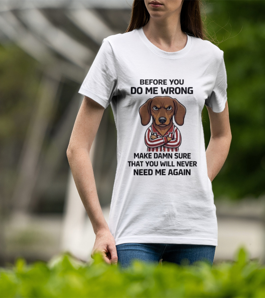 Grumpy Dog Before You Do Me Wrong Make Damn Sure You Will Never Need Me Again T-Shirt