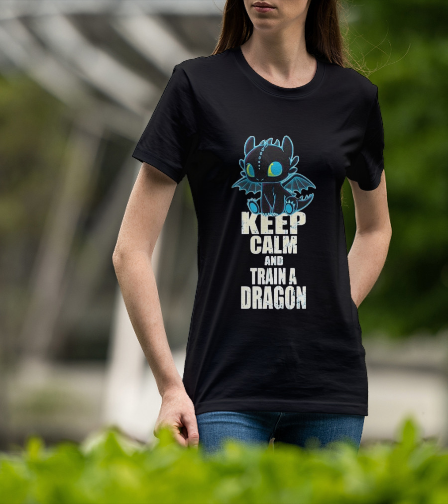 Keep Calm And Train A Dragon Toothless How To Train Your Dragon Cartoon T-Shirt