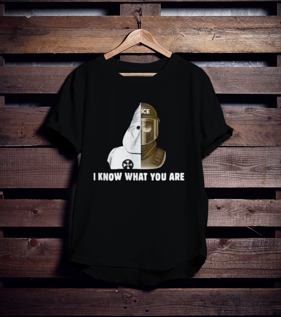 Abolish ICE Social Justice I Know What You Are KKK Comparison T-Shirt