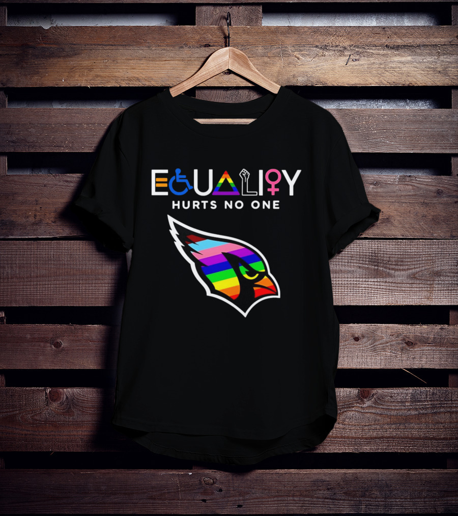Arizona Cardinals Pride Equality Hurts No One Inclusive Message T-Shirt