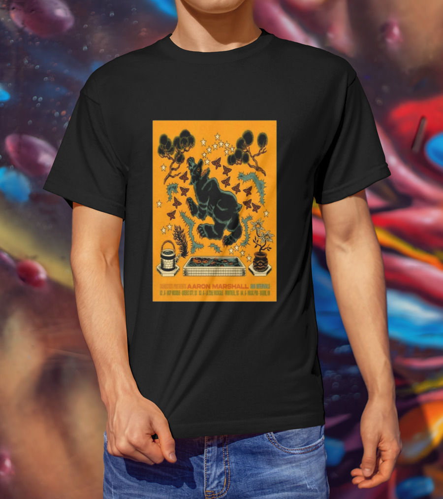 Aaron Marshall Intervals 2026 Canadian Clinic Tour Quebec City Montreal Barrie T-Shirt