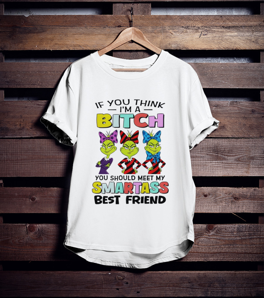 Bitch Smartass Grinch Best Friend Colorful Sassy Attitude T-Shirt