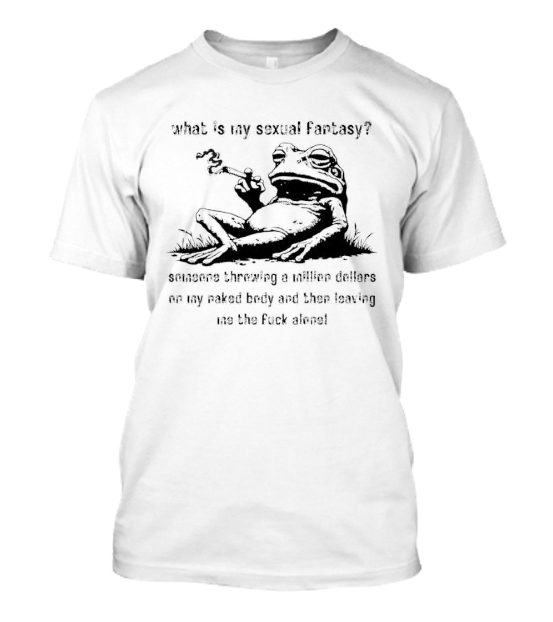 What Is My Sexual Fantasy Someone Throwing A Million Dollars On My Naked Body Then Leaving Me Alone T-Shirt