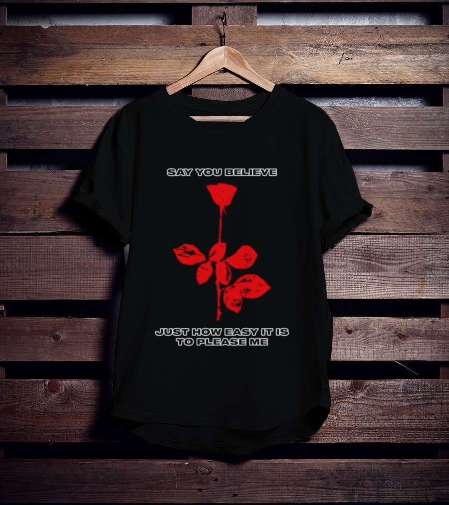 Say You Believe Just How Easy It Is To Please Me Red Rose T-Shirt