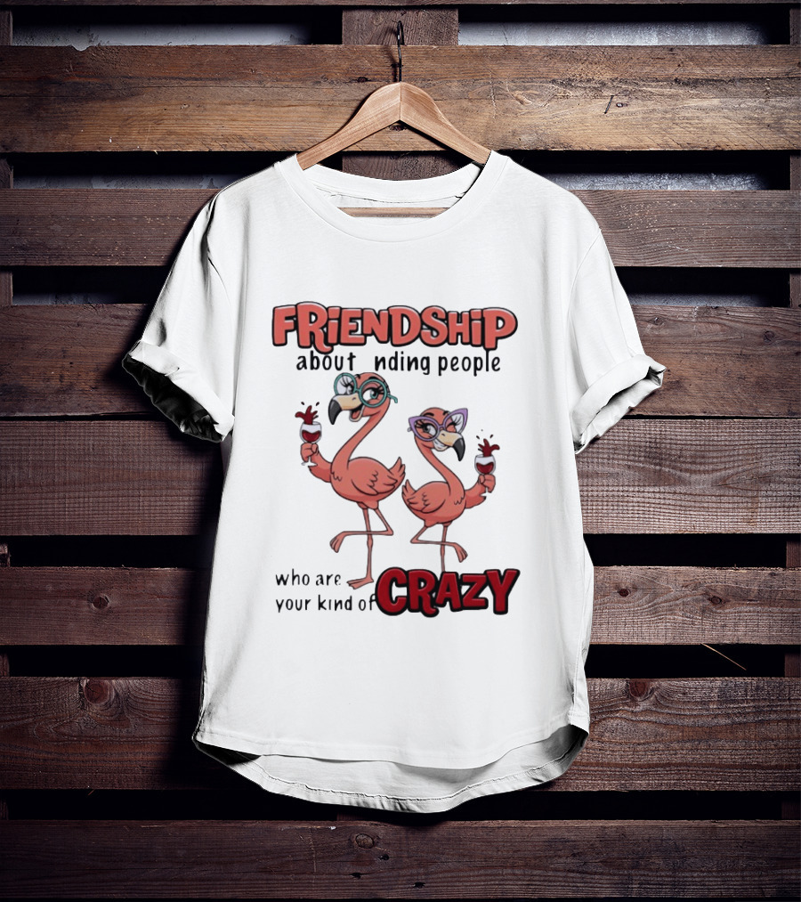 FRIENDSHIP About Finding People Who Are Your Kind Of CRAZY Flamingo Humor T-Shirt