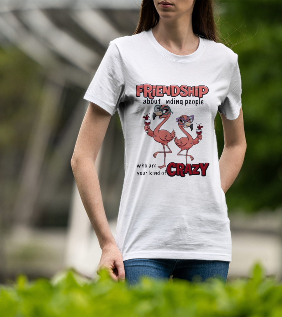 FRIENDSHIP About Finding People Who Are Your Kind Of CRAZY Flamingo Humor T-Shirt